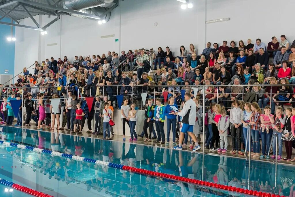 школа плавания вгу воронеж. бассейн вгу на московском проспекте воронеж. бассейн вгу тренажерный зал. бассейн вгу воронеж. бассейн вгу московский просп.