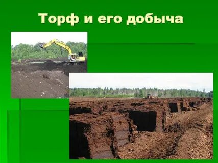 К какому виду относится торф