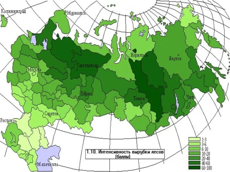 Интенсивность использования лесных ресурсов