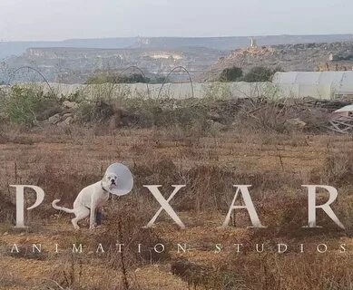 Мем пиксар
