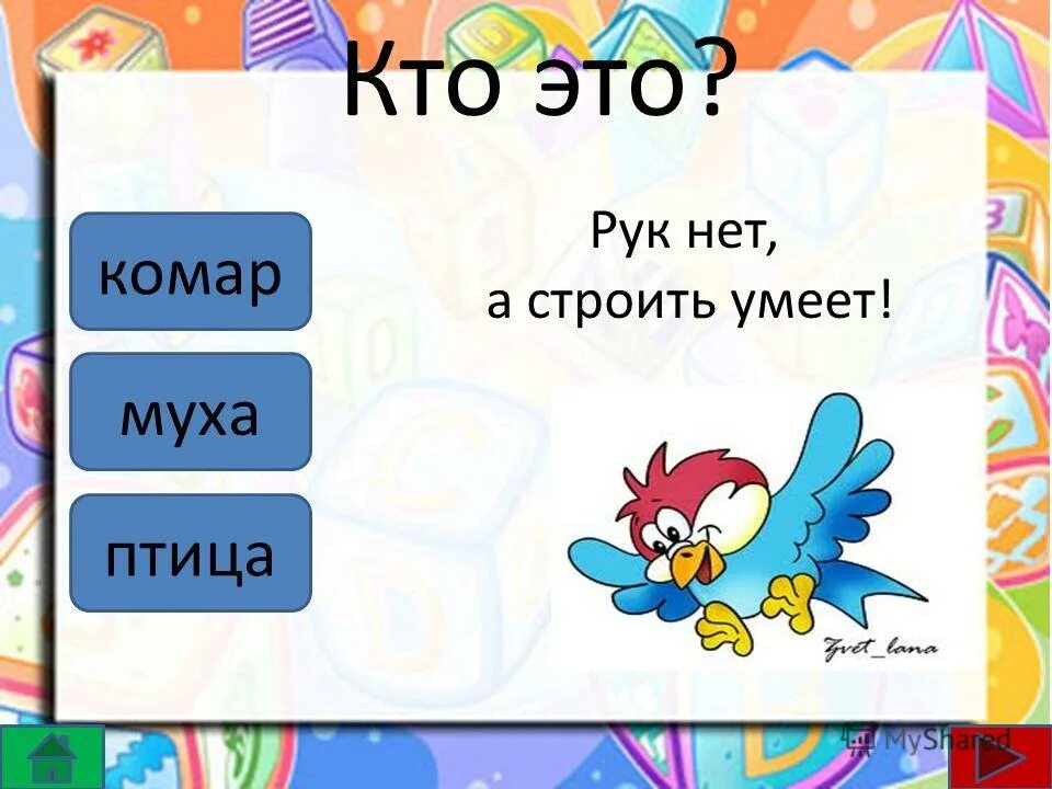 Рук нет а строить умеет загадка. 3 загадки о птицах. Рук нет а строить умеет. Рук нет а строить умеет загадка. Рук нет а строит ответ на загадку.