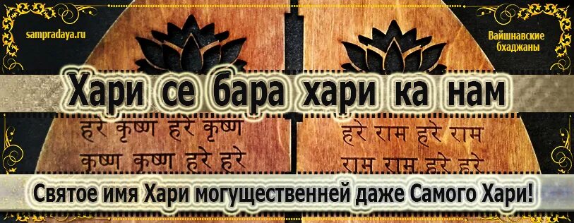 Суши бар набережные челны. Шире хари нижний новгород. Ресторан "шири хари. Эмили колдуин. Шансон александр вестов.
