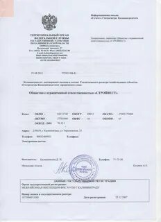 Росстат сайт коды статистики