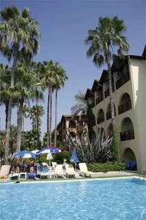Club tropical beach