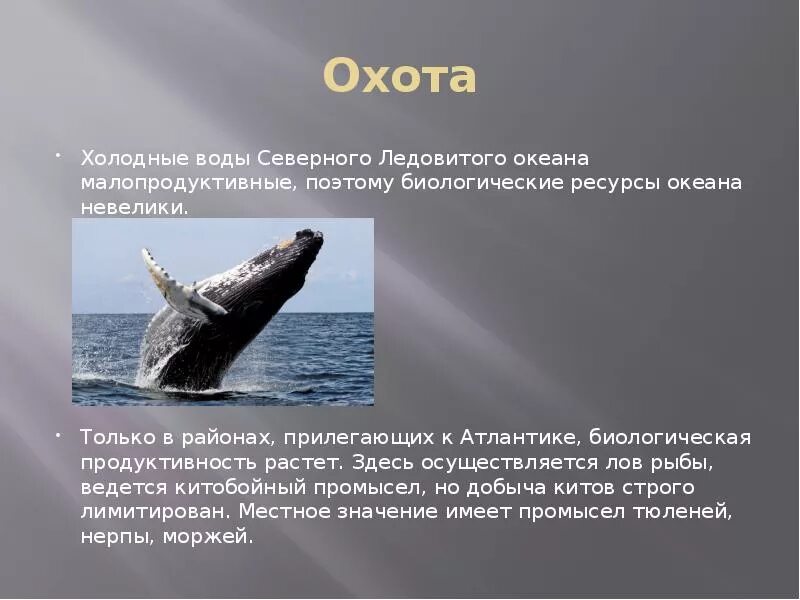 Северный ледовитый океан богатства. Северный ледовитый океан богатства. Хозяйственная деятельность северного ледовитого океана. Северный ледовитый океан богатства. Фьорд илулиссат гренландия.