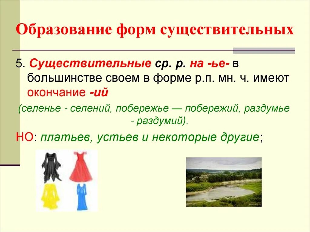 Слово вид это существительное. Формы существительного. Образование формы существительного. Формы имени существительного. Образование форм имен существительных.