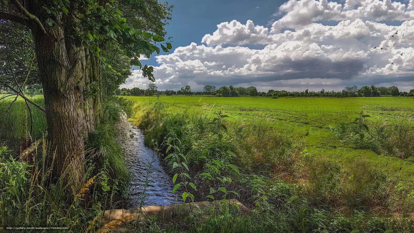 Река угра. Field river. Поле растения горы река. Field river. Поле с речкой.