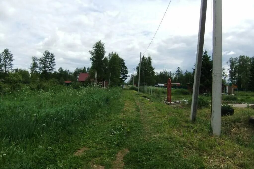 Снт балашиха купить. Талдомский район Власово д.Бельское. СНТ Ягодное Талдомский район. СНТ Ягодное Бельское. СНТ Ягодное Талдом сайт.