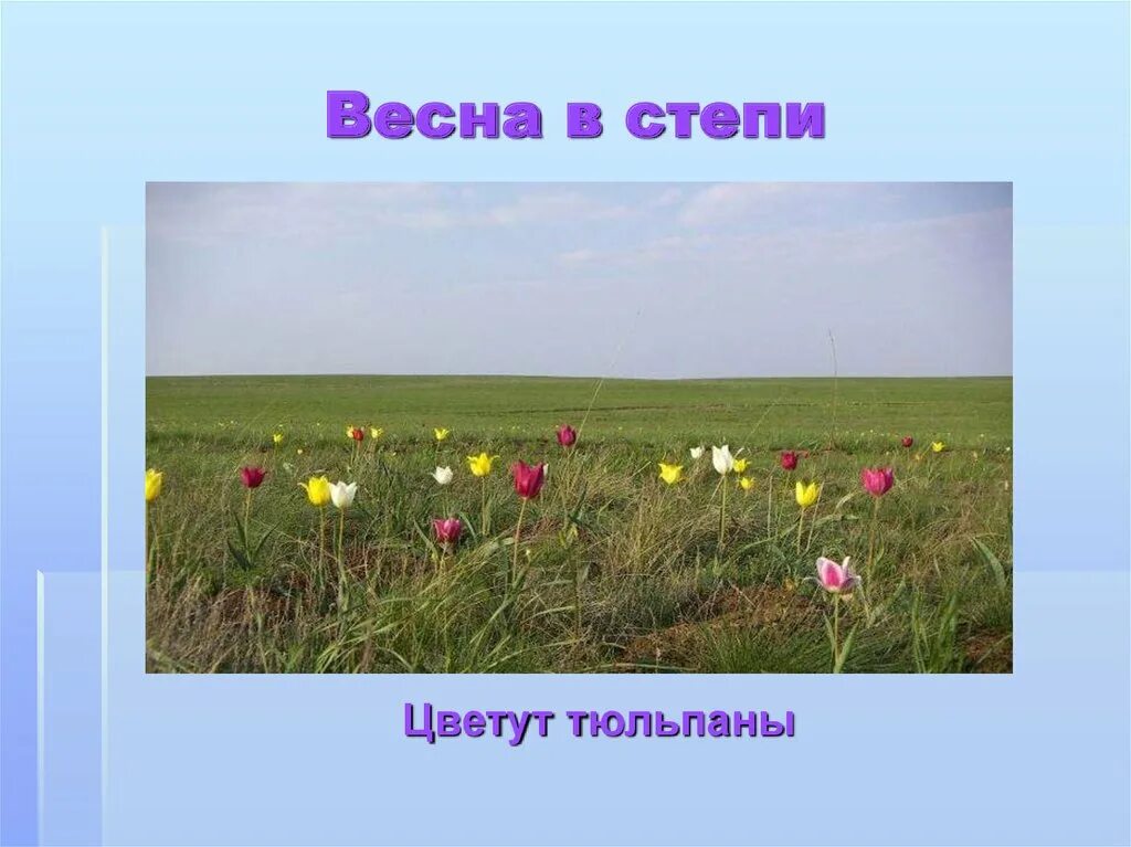 Степь тетрадь. Степь рисунок для 4 класса. рисунки зоны степей 4 класс. степи окружающий мир.