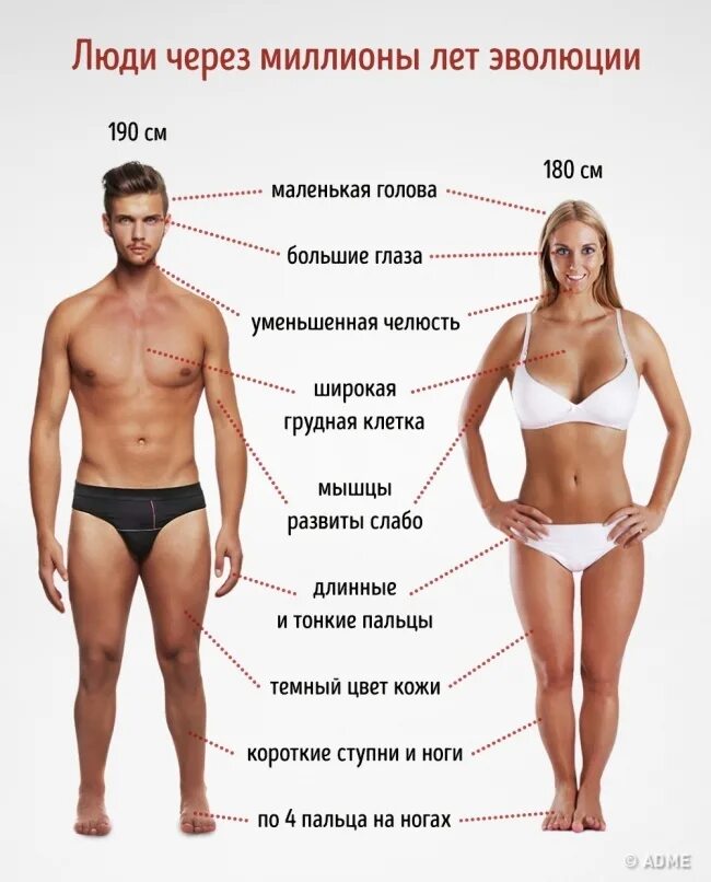 Почему через 10 лет. Человек через 1000000 лет. как будет выглядеть человек через 1000000 лет. человек будущего как будет выглядеть. как будет выглядеть человек в будущем.