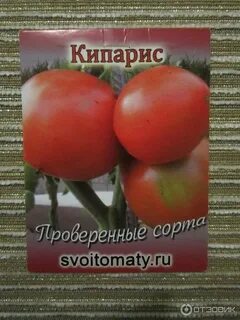 Семена медведевых каталог