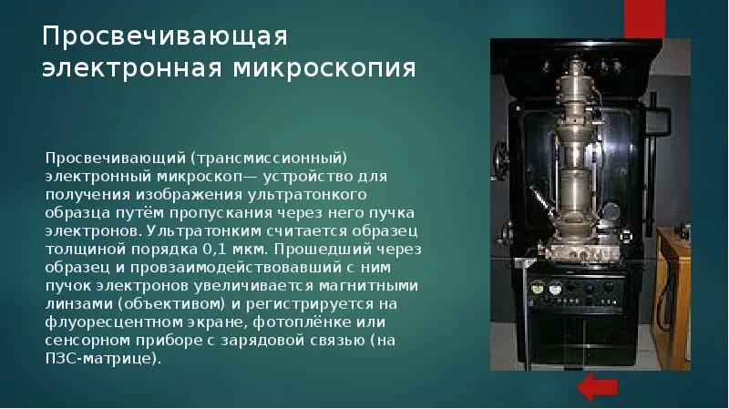 Появление электронного микроскопа
