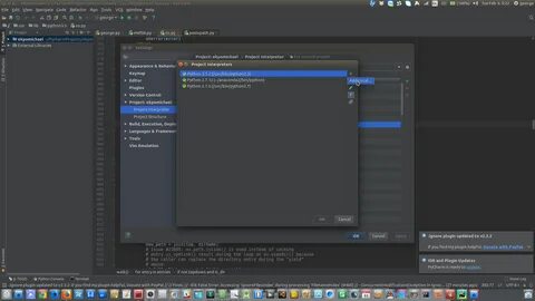 Environment location is not empty pycharm