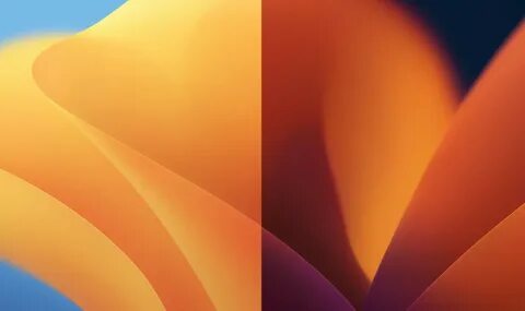 Windows dynamic