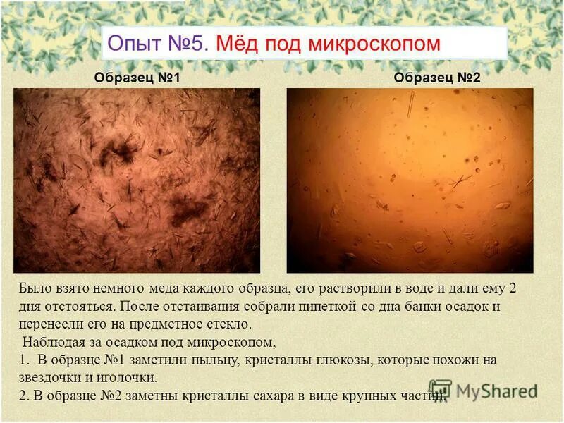 Мед после химии. Мед под микроскопом. Натуральный мед под микроскопом. Некачественный мед под микроскопом. Структура меда под микроскопом.