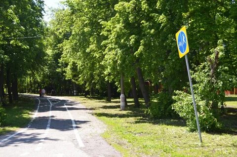 Средний венец
