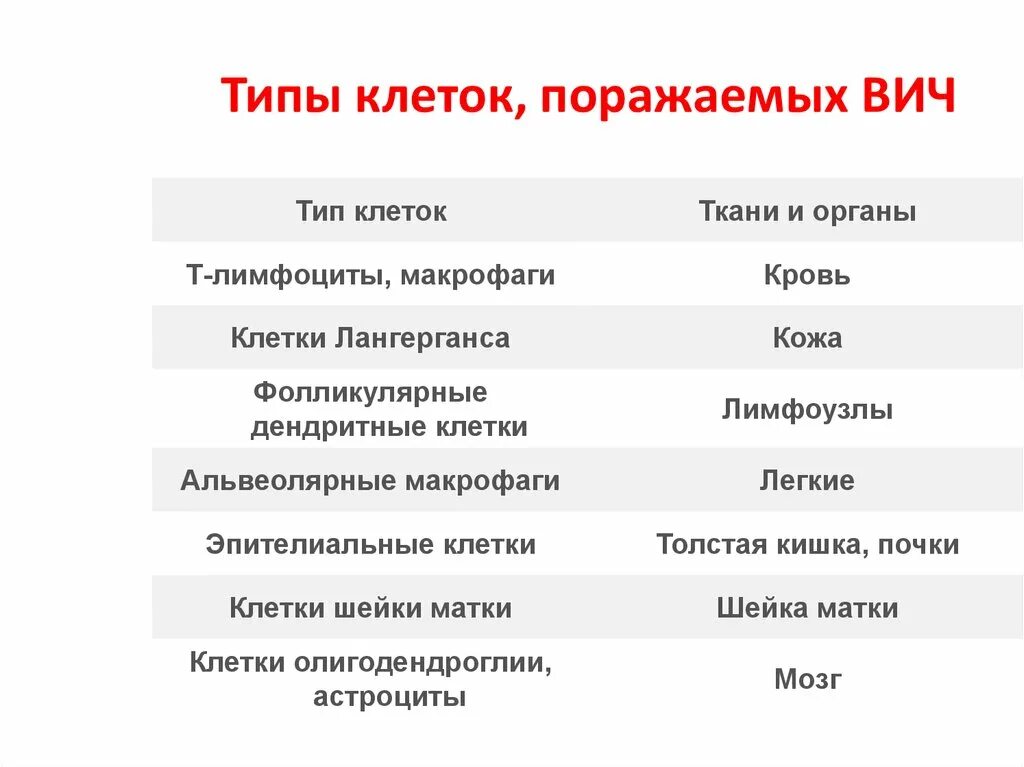 Какие клетки поражает СПИД. Какие клетки поражает вирус иммунодефицита человека. Какие клетки поражает свид. ВИЧ поражает клетки. Поражаемые структуры спида