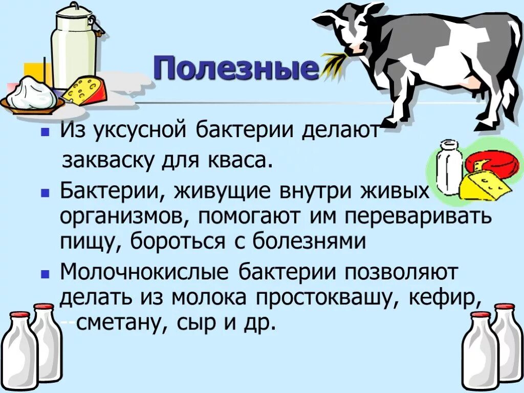 Чем полезны бактерии. Полезные бактерии для человека. Сообщение о полезных бактериях. Польза полезных бактерий.