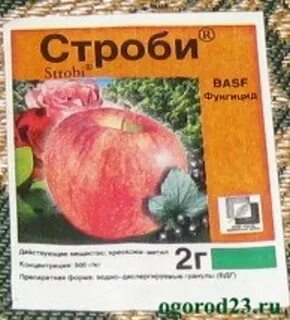 Стробь