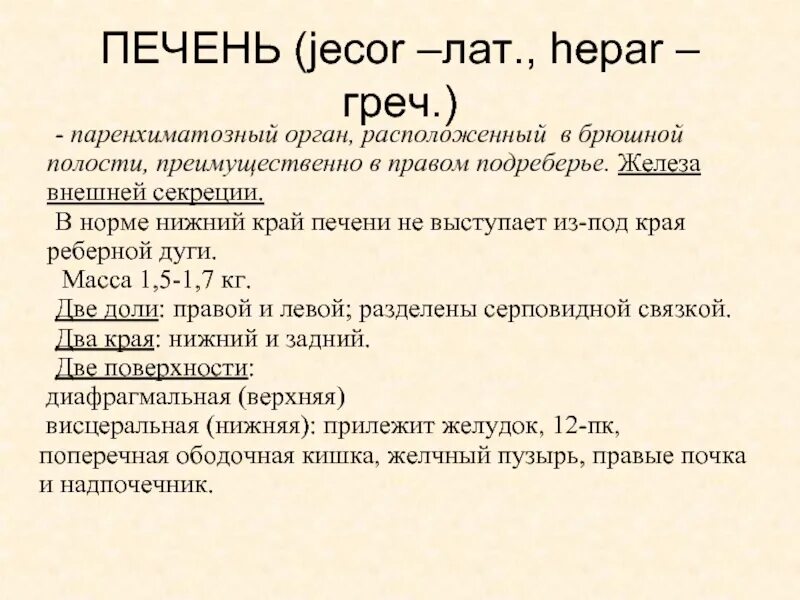 Печень в 4 года