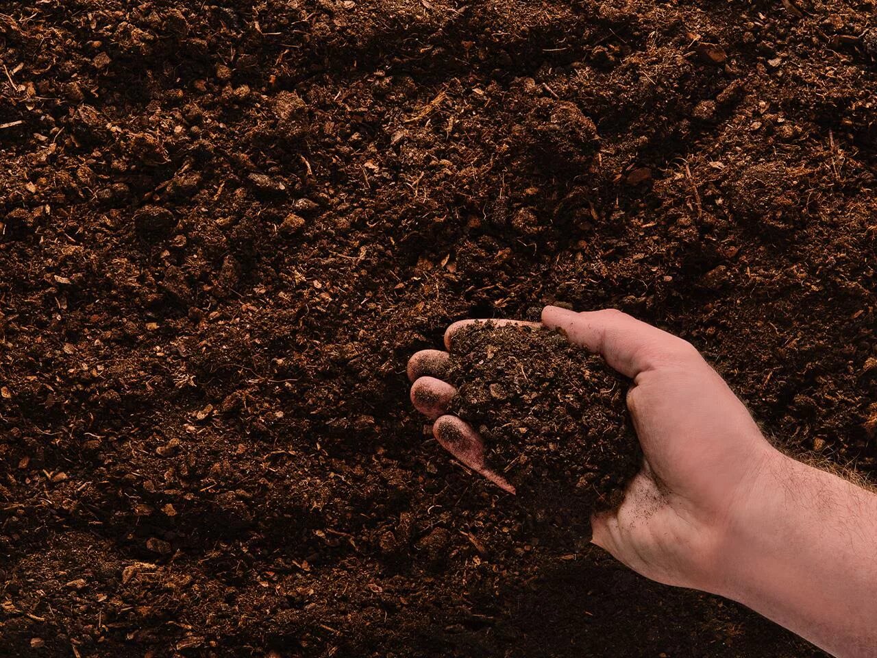 Повышением плодородия земли. Почва. Земля для растений. Плодородная почва. Рыхлая почва.