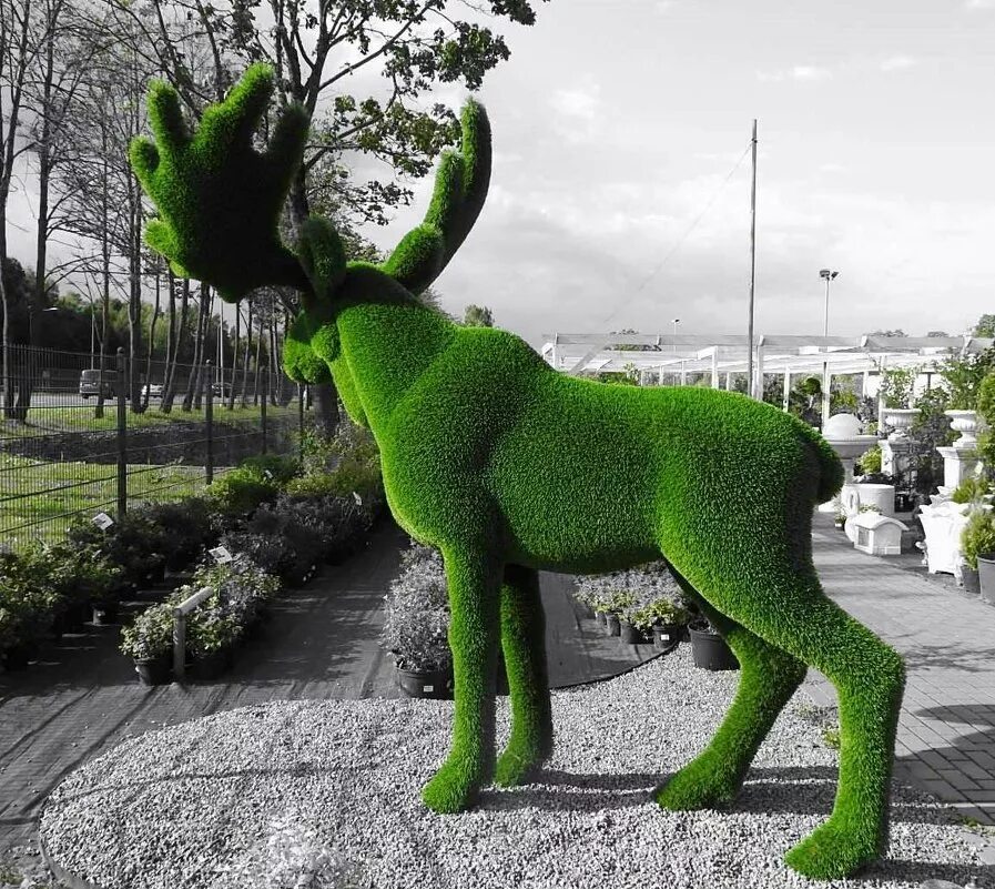 лось. тихвин парк эрувиль. топиарные фигуры в вологде. лось район москвы. спасск клепики рязань.