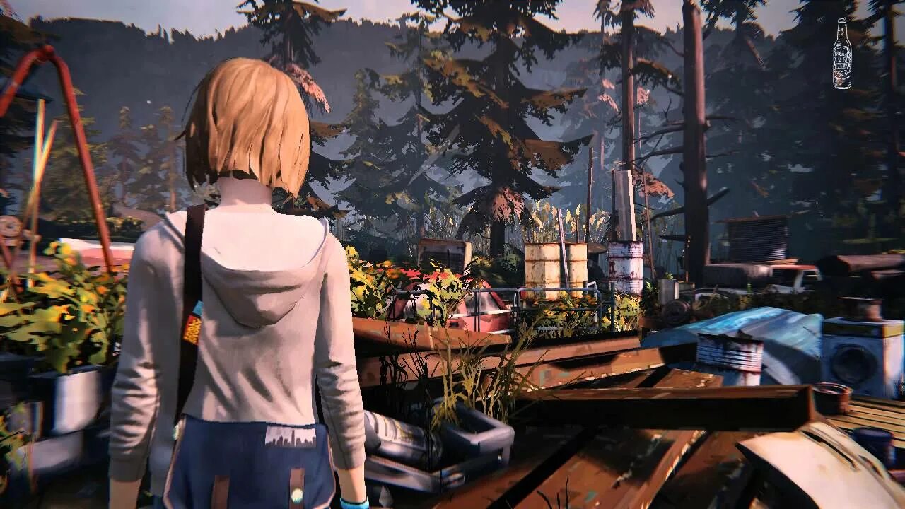 2 жизнь прохождение. Life is Strange Аркадия Бэй. Life is Strange 2 Аркадия Бэй. Life is Strange карта Аркадии Бэй.