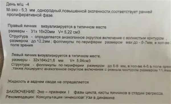 М эхо мм