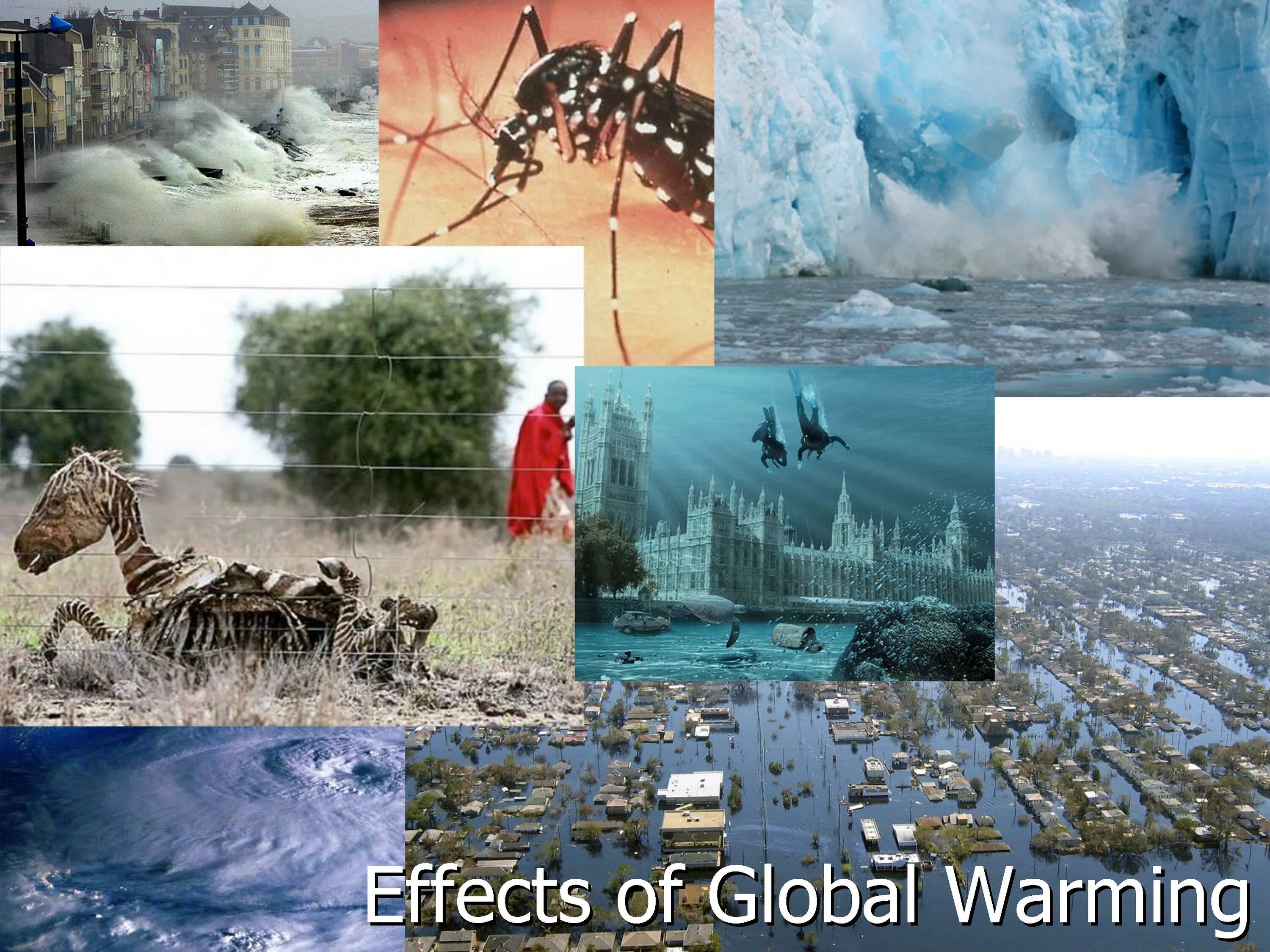 Глобальные экологические проблемы климатические изменения. Последствия изменения климата. Последствия глобального потепления. Глобальное потепление в мире. Глабальная потепленение.