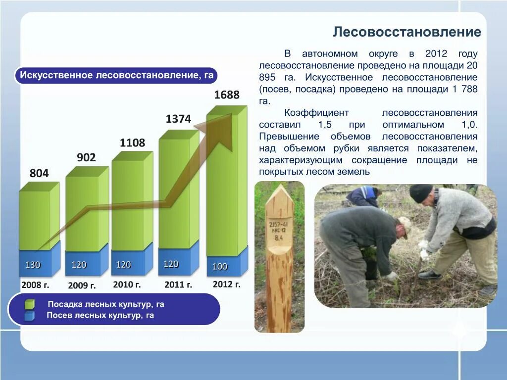 Правила лесовосстановления 1024. Искусственное лесовосстановление. Искусственное восстановление леса. Способы лесовосстановления. Структура лесовосстановления.