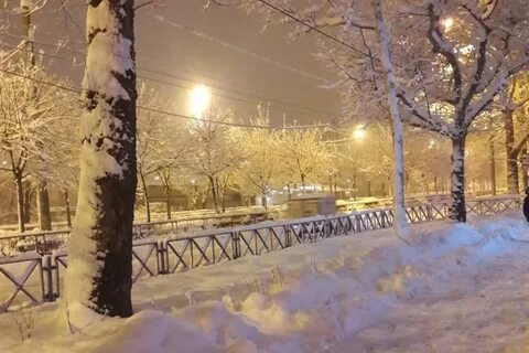 Погода в краснодаре в ноябре декабре