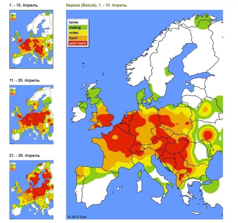 Карта пыления для аллергиков. Амброзия на карте Европы. Карта распространения амброзии. Карта пыления в Европе. Карта распространения поллиноза.
