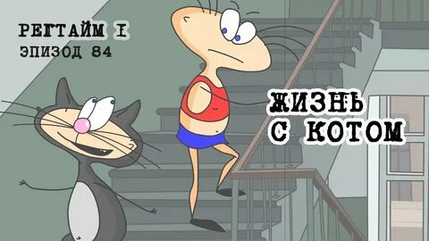 Кота эпизод