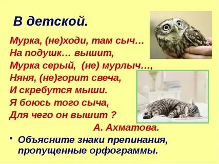 Кот мурлыч т