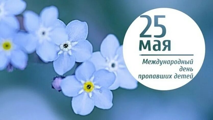 25 мая 2026. Международный день пропавших детей. 25 Мая день пропавших детей. Открытка Международный день пропавших детей. Незабудка день пропавших детей.