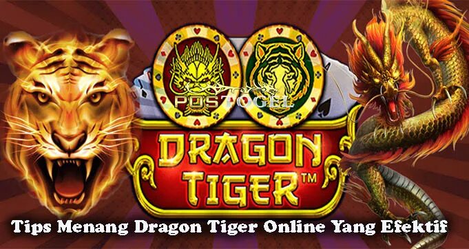 Год змеи тигр. Тигр и дракон. Игровой автомат Tiger and Dragon. Тигр и дракон картинки. Битва тигра с драконом.