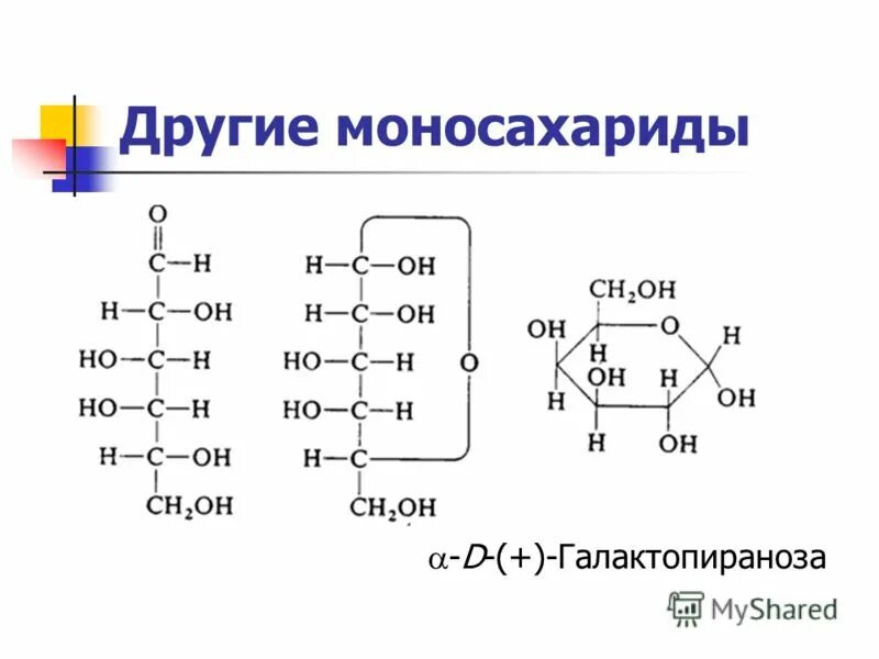 Моносахарид атф