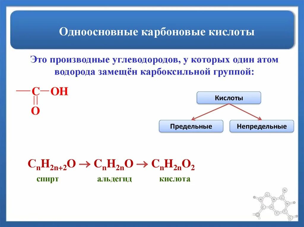 Предельные одноосновные кислоты изомерны. Предельные одноосновные карбоновые кислоты. Непредельные карбоновые кислоты номенклатура. Предельные основные карбоновые кислоты. Алифатические предельные карбоновые кислоты.