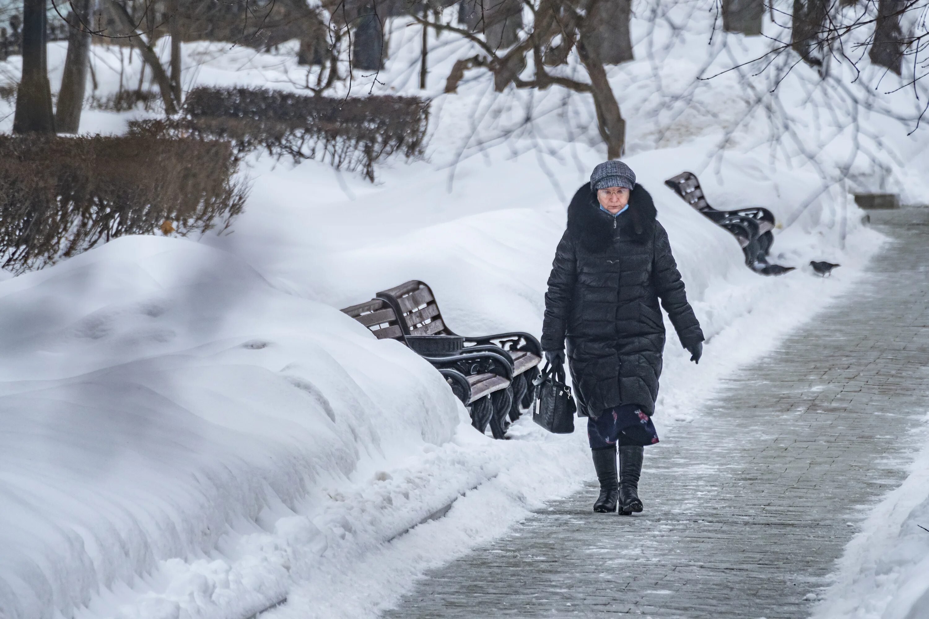 Уборка снега. Снегопады продолжаются. Снегопад в саратове. Сугробы в спб доставка еды. Питер снежные заносы.