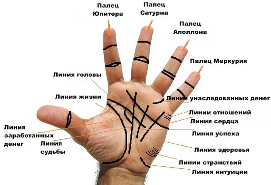 Хиромантия какие линии. Линии на ладони. Название линий на руке. Хиромантия линии на ладони. Хиромантия по руке линия.