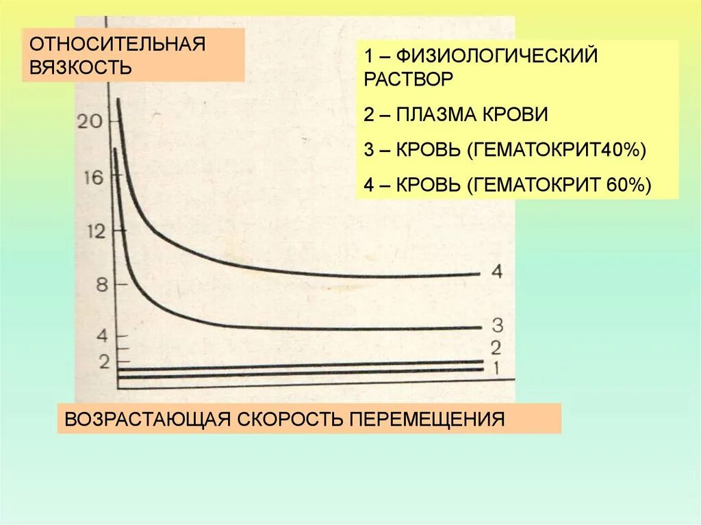 Вязкость крови вязкости воды. Факторы влияющие на вязкость крови. Влияние на вязкость крови. Вязкость крови, факторы, ее определяющие. Факторы увеличивающие вязкость крови.