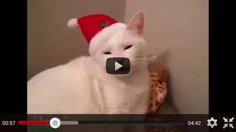 Включи самое короткое видео
