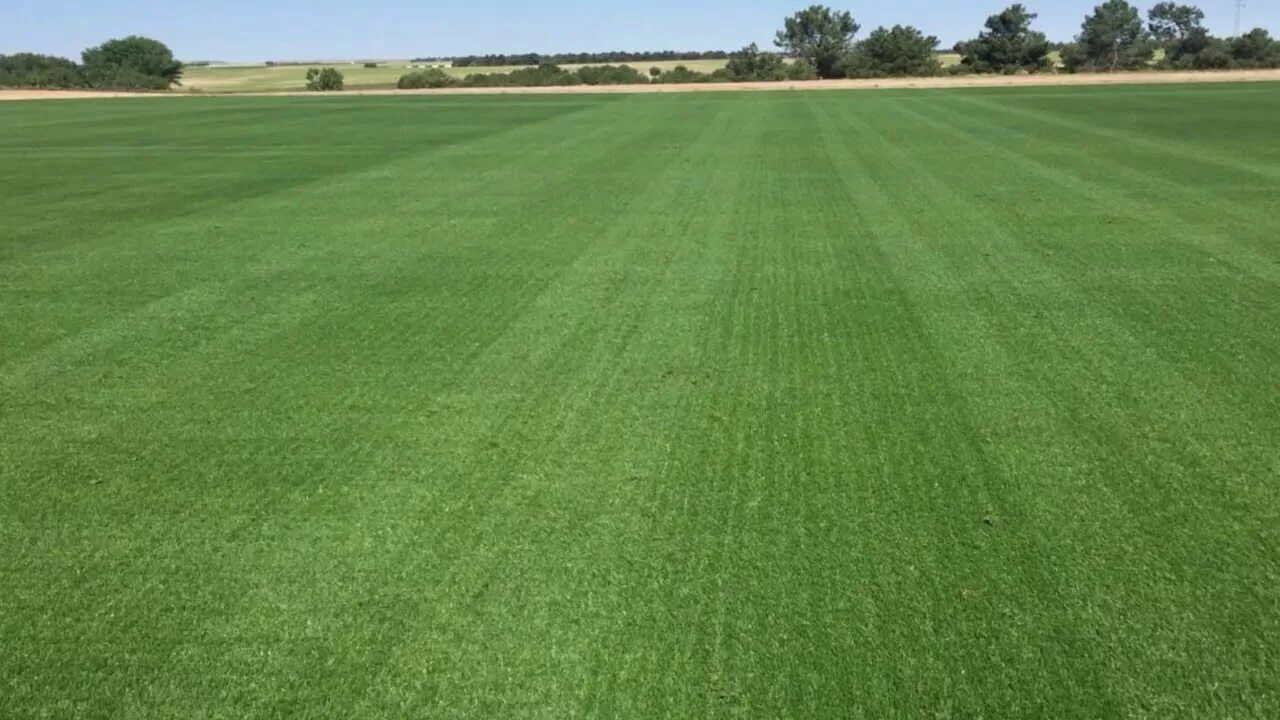 Fields 5