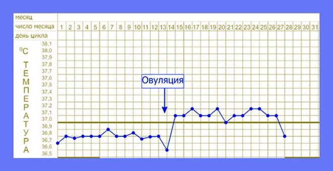 Температура базальная тест отрицательный. График БТ С имплантационным западением. График базальной температуры с имплантационным западением. Имплантационное западание график БТ. Западение на графике базальной температуры.