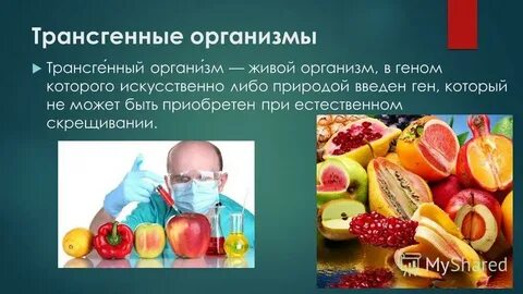 Применять организм