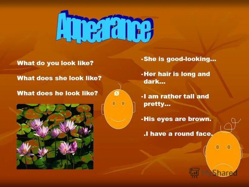 What does she look like. What are you look like. what do you look like презентация. what does he look like ответ на вопрос. what do you look like ответ на вопрос.