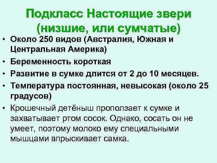 Подкласс настоящие звери. Подкласс настоящие звери сумчатые. Надкласс настоящие звери. Настоящие звери низшие млекопитающие. Класс настоящие звери