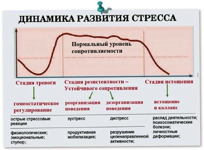 Стадии стресса физиология. Стадии и механизмы развития стресса. Стадии стресса и гормоны. Схема развития стресса. Гормоны адаптации