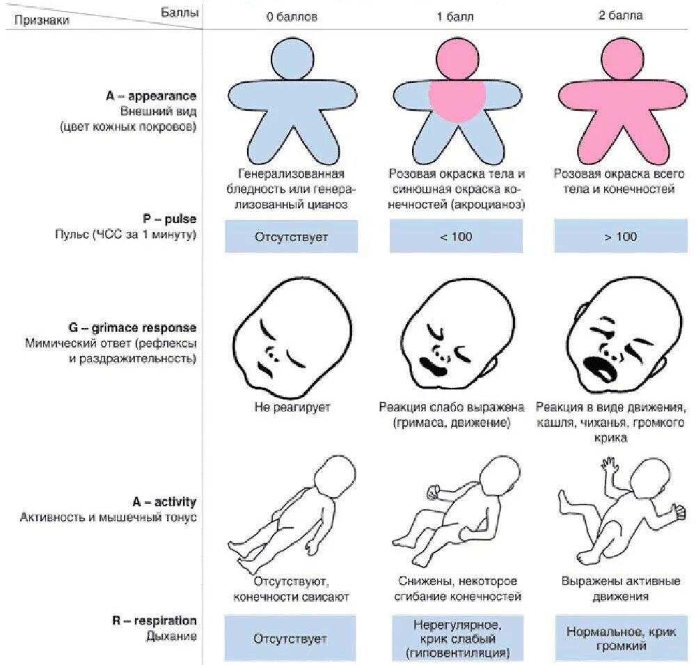Апгар 7 7 расшифровка. Показатели новорожденного ребенка по шкале Апгар. Шкала для новорожденных Апгар 8 баллов. Таблица оценки новорожденного ребенка по шкале Апгар. Оценка новорожденного по шкале Апгар 8-9.