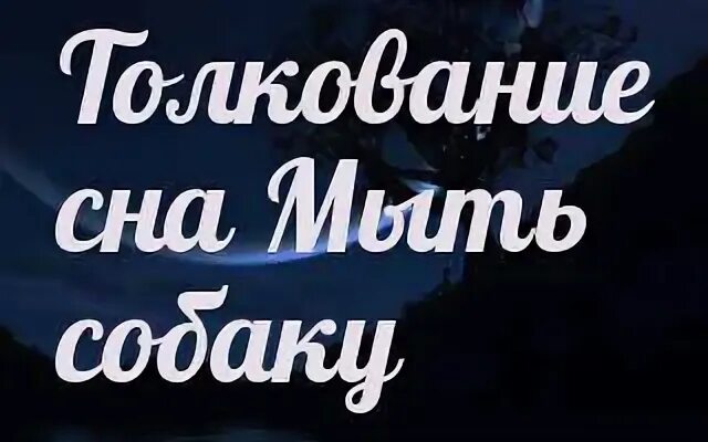 Сонник толкование собак
